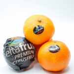 Compra Online Clementinas de les Terres de l’Ebre