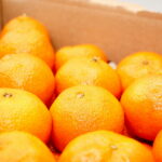 Compra Online Clementines de les Terres de l’Ebre